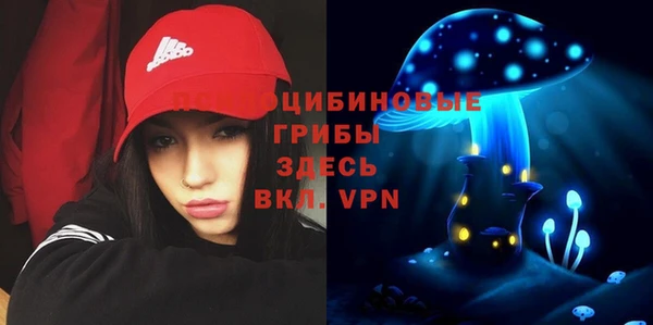 PSILOCYBIN Баксан