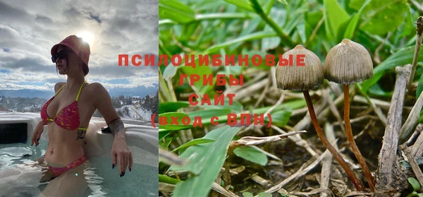 индика Балахна