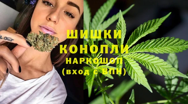 PSILOCYBIN Баксан