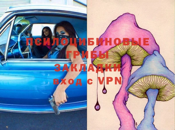 PSILOCYBIN Баксан