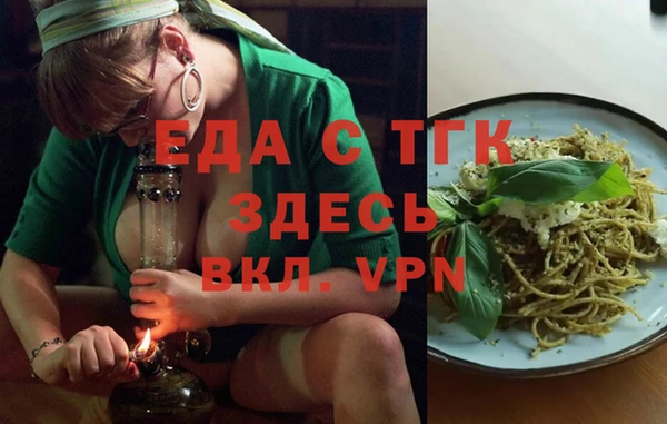 индика Балахна