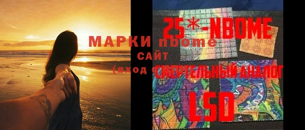индика Балахна