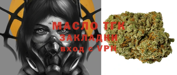 индика Балахна