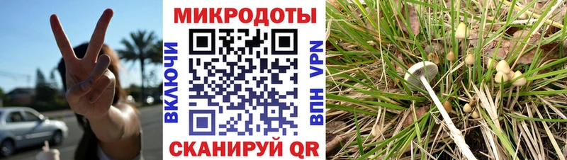 Галлюциногенные грибы мицелий  Туран 